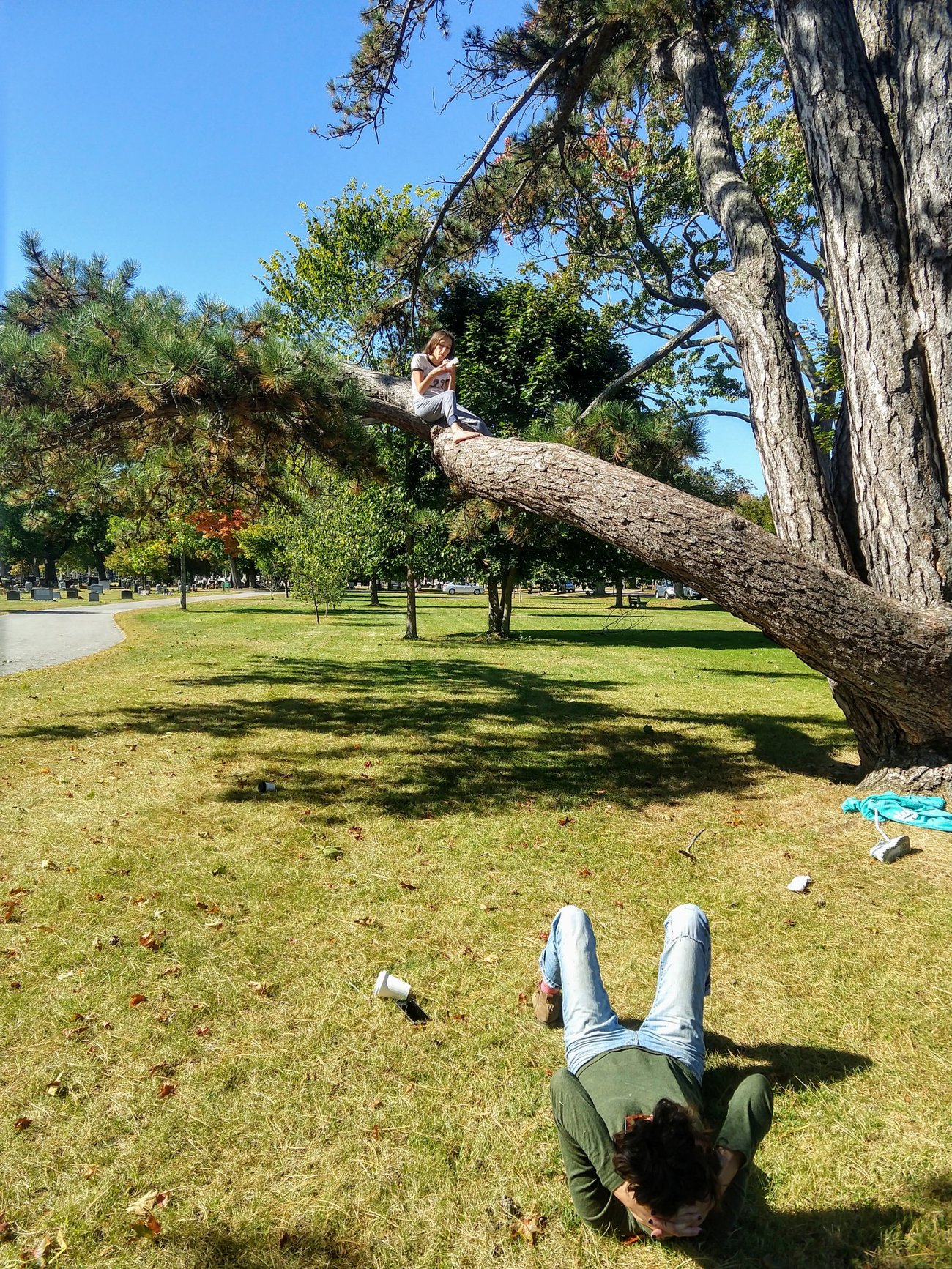 Tree Climbing