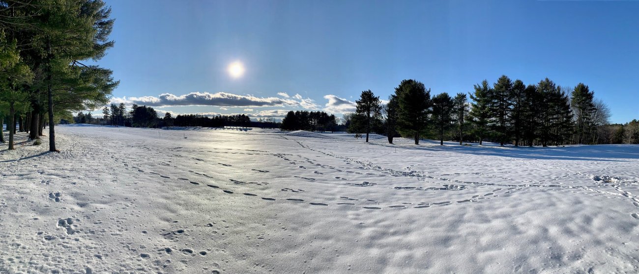 Winter sun, low in the sky Winter sun, low in the sky