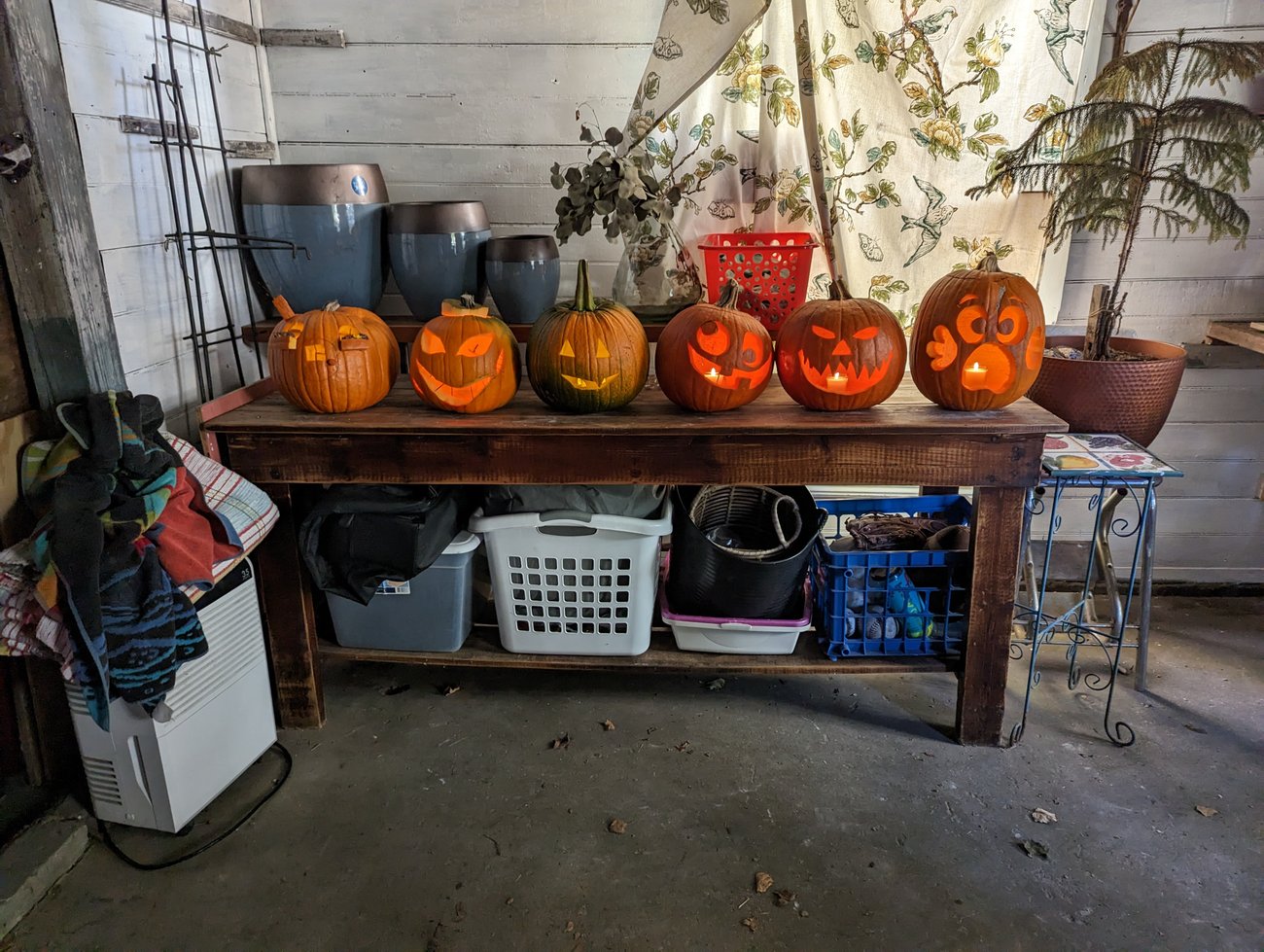 Pumpkins