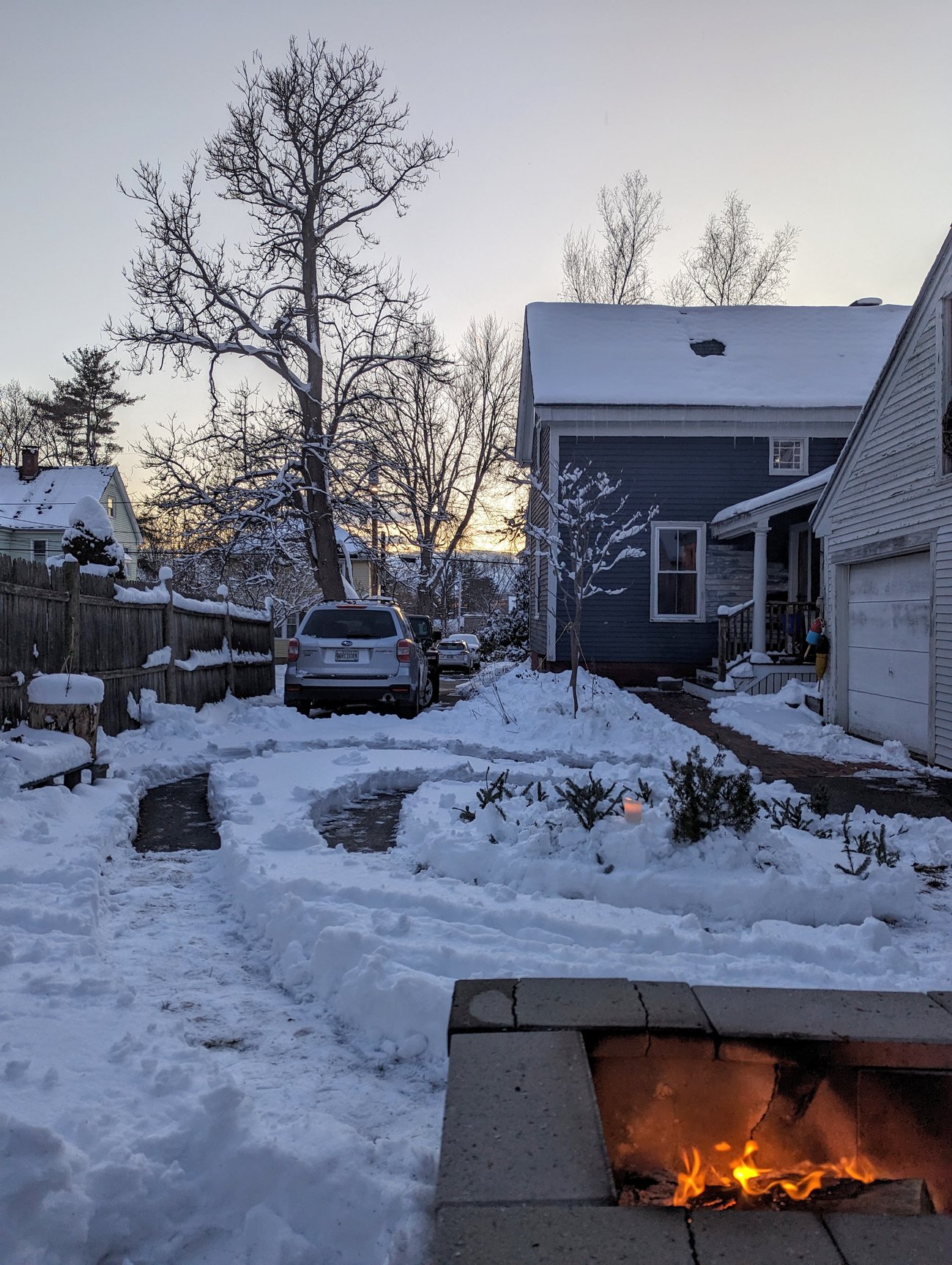 Backyard in Winter