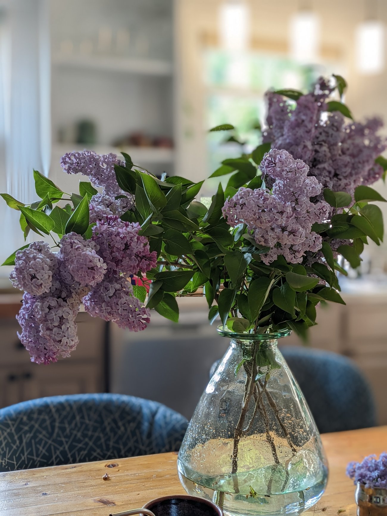 Lilacs