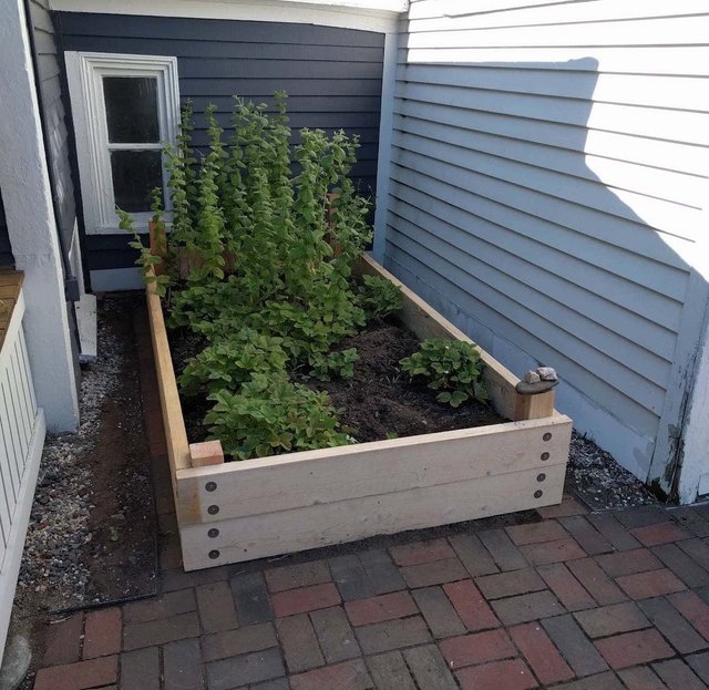 raised bed repair